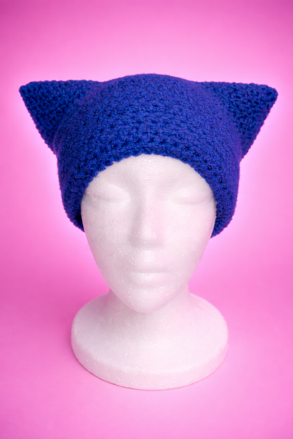 Cat Ear Beanie